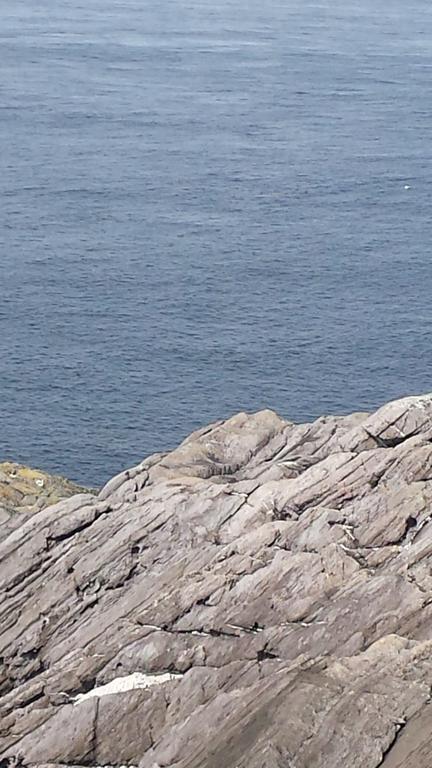 Eyeries Coulagh Bay House B&B 외부 사진